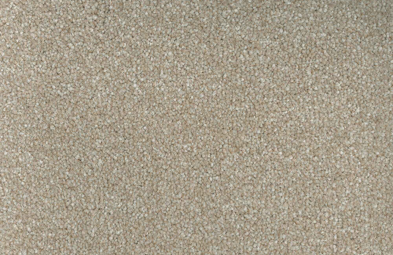 Black Sea Two Ply Bleach Cleanable Carpet
