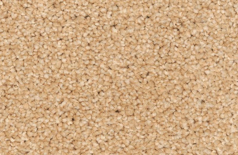 Medlock Two Ply Bleach Cleanable Carpet